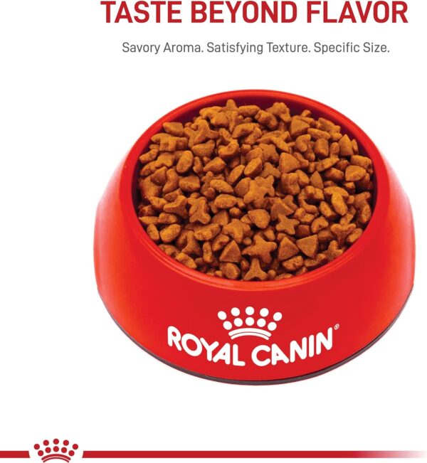 Royal Canin Feline Health Nutrition Sensitive Digestion Cat Food Dry Formula, Balanced Nutrition to Support Digestive Health, 7 lb Bag - Image 11