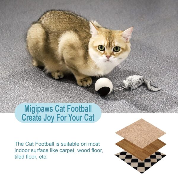 Migipaws Interactive Cat Ball Toy Set, Fun Tracker, Automatic Rolling Chase Ball with Fluffy Tail, A Small Mice, Rechargeable（White） - Image 9