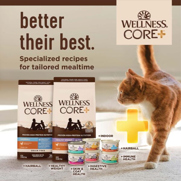 Wellness CORE+ Grain-Free High Protein Adult Dry Cat Food, Chicken, Turkey & Chicken Meal Indoor Formula Dry Cat Food, 11 Pound Bag - Image 8