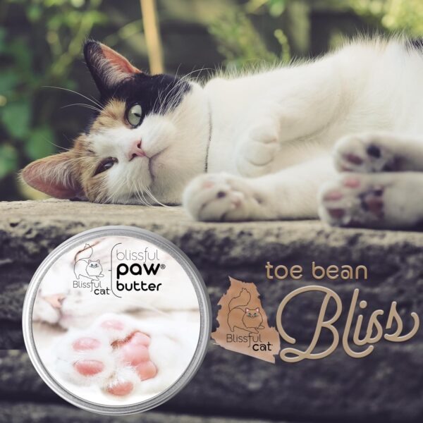 The Blissful Cat Paw Butter, Moisturizer for Dry Paw Pads, Softens and Protects a Rough Paw, Versatile, Lick-Safe Cat Paw Balm, 2 oz. - Image 7