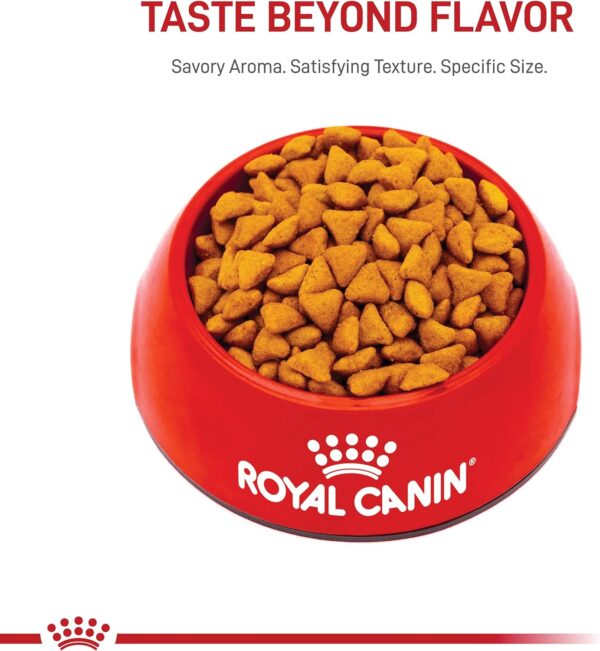 Royal Canin Indoor Adult Dry Cat Food, 15 lb bag - Image 11