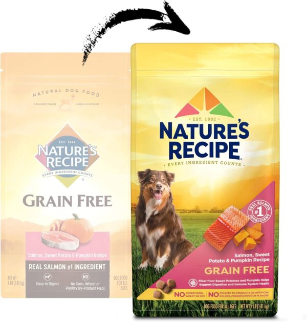 Nature′s Recipe Grain Free Salmon, Sweet Potato & Pumpkin Recipe Dry Dog Food, 4 lb. Bag - Image 3