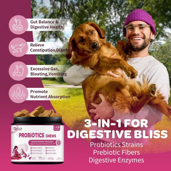 Probiotics for Dogs - Dog Probiotics and Digestive Enzymes for Digestive Health - Plus Fish Oil & Vitamins Supplement for Allergies & Immune & Itchy Skin, 120 Chicken Flavor Probiotic Soft Chews - Image 2