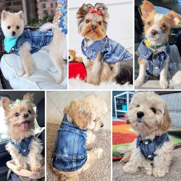 Dog Jean Jacket, Blue Denim Lapel Vest Coat T-Shirt Costume Cute Girl Boy Puppy Clothes, Comfort and Cool Apparel, for Small Medium Dogs Cats, Machine Washable Outfits (Small, Blue) - Image 7