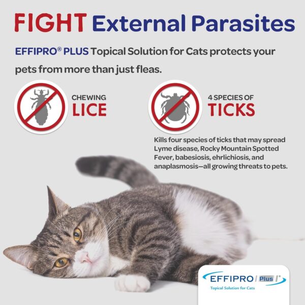 Virbac Effipro PLUS Topical Solution For Cats, 3 Month Supply - Image 5