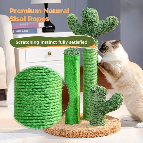 PAWZ Road Cat Scratching Post Cactus Cat Scratcher Featuring with 3 Scratching Poles and Interactive Dangling Ball -Medium 23 Inches - Image 4