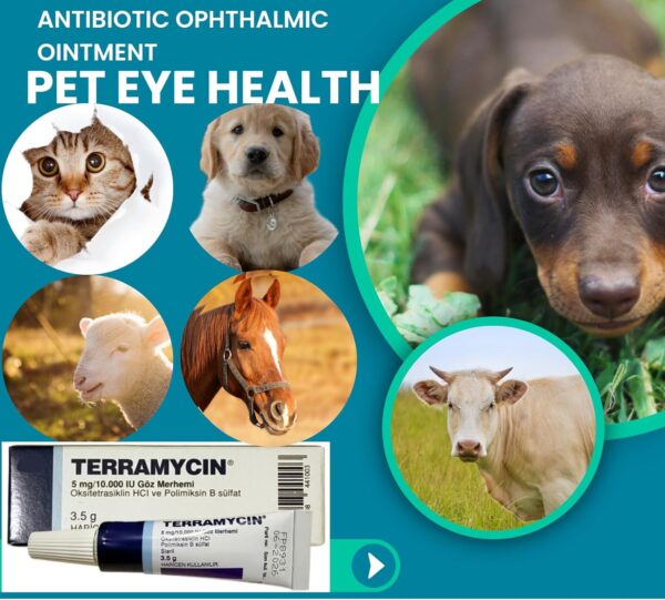 Otto Tech Pet Eye Health Ointment for Dogs, Cats, Cattle, Sheep, Horse, Bird 1/8 oz /3.5gr - 1 tube - Image 3