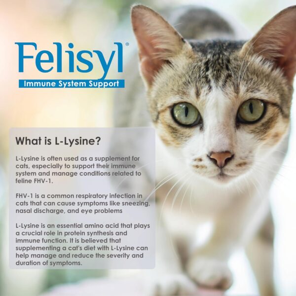 L-Lysine Gel for Cats - Immune System Support - Supplement Support for Healthy Tissue, Respiratory, and Vision - Salmon-Flavored - Made in The USA - 5 oz - Image 2