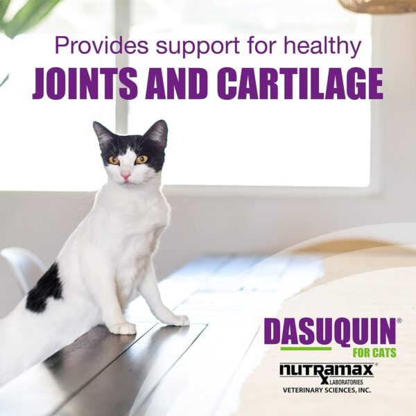 Nutramax Dasuquin Joint Health Supplement for Cats - With Glucosamine, Chondroitin, ASU, Boswellia Serrata Extract, Green Tea Extract, and Omega-3, 84 Soft Chews - Image 3