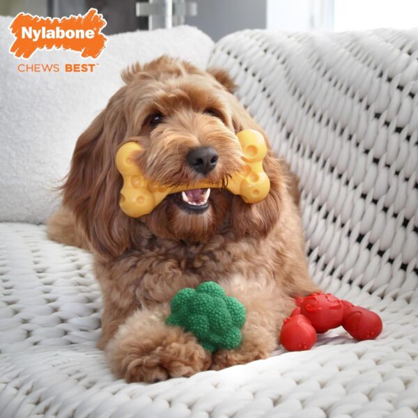 Nylabone Power Chew Dog Toy Pack for Aggressive Chewers - with a Funny Twist! Tough & Durable Dog Toys - Lobster, Cheese, and Broccoli Shapes, Large/Giant (3 Count) - Image 3