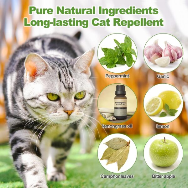 10 Pack Cat Repellent Outdoor and Indoor, Natural Peppermint Oil Cat Deterrent Outdoor and Indoor, Keep Cats Out of Yard Permanently, Protect Your Yard Outdoor and Furniture Indoor, Evict Stray Cats - Image 2