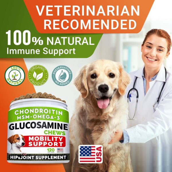 Glucosamine Treats for Dogs - Joint Supplement w/Omega-3 Fish Oil - Chondroitin, MSM - Advanced Mobility Chews - Joint Pain Relief - Hip & Joint Care - Chicken Flavor - 120 Ct - Made in USA - Image 7