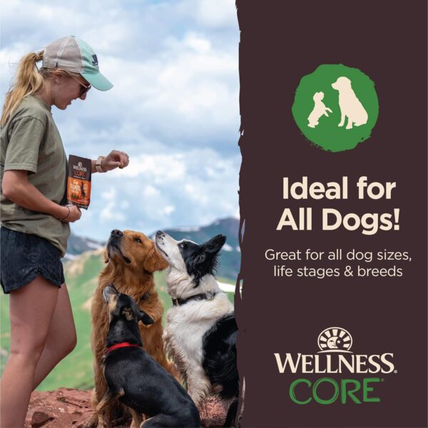 Wellness CORE Soft Tiny Trainers (Previously Petite Treats), Natural Grain-Free Dog Treats for Training, Made with Real Meat, No Artificial Flavors (Lamb & Apple, 6 Ounce Bag) - Image 5