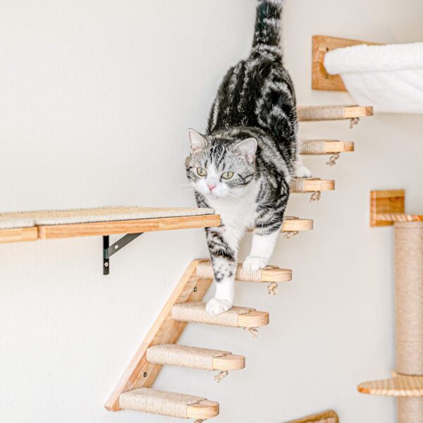 FUKUMARU Cat Climbing Shelf Wall Mounted, Four Step Cat Stairway with Jute Scratching for Cats Perch Platform Supplies - Image 4