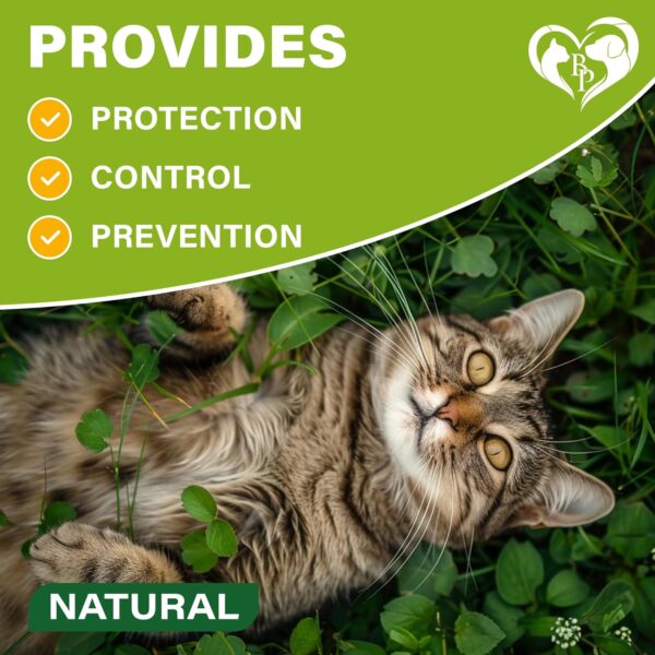 Natural Flea & Tick Collar for Cats - 12 Months Control of Best Prevention & Safe Treatment - Anti Fleas and Ticks Essential Oil Repellent (2 pack) - Image 5