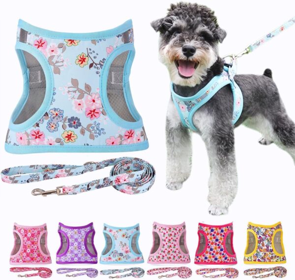 Moonpet Step in Air Dog Harness Leash Set- All Weather Reflective No-Pull Floral Pattern Padded Mesh Vest Harness for Cats Puppy Extra-Small Small Medium Large Dogs - Bell Orchid - M