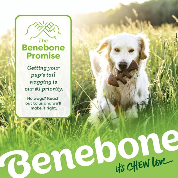 Benebone Medium 4-Pack Dog Chew Toys for Aggressive Chewers, Made in USA, 60lbs and Under - Image 6