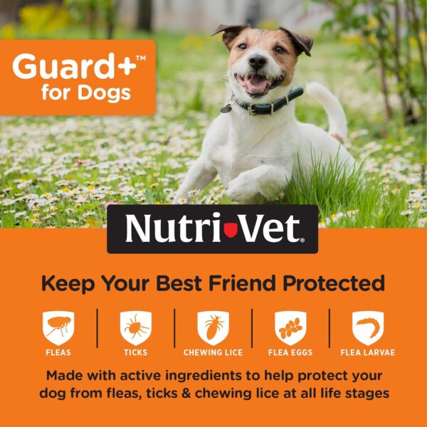 Nutri-Vet Guard+ for Dogs - Flea & Tick Prevention for Small Dogs 5-22 lbs. - Waterproof - 30 Days of Protection - 3 Month Supply - Image 3