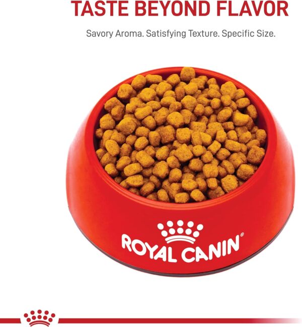 Royal Canin Chihuahua Adult Dry Dog Food, 10 lb bag - Image 9