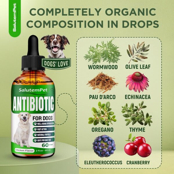 Natural Antibiotics for Dogs | Dog Antibiotics | Supports Dog Allergy Relief | Dog Itch Relief | Dog Allergy Support | Dog Multivitamin | Pet Antibiotics | Dog Antibiotics | 2 Oz - Image 3