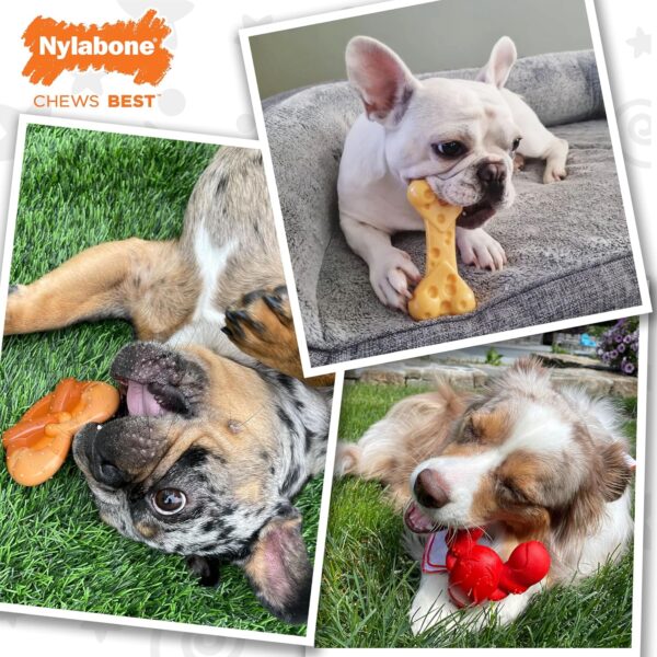 Nylabone Power Chew Dog Toy Pack - Cute Dog Toys for Aggressive Chewers - with a Funny Twist! Tough Dog Toys - Durable Dog Toys - Lobster, Cheese, and Pretzel Shapes, Small/Regular (3 Count) - Image 2