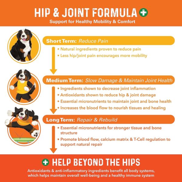 Bernie's Healthy Hips - Daily Dog Hip and Joint Supplement - 90 Soft Chews - Reduce Pain, Encourage Mobility, Slow Damage, Repair and Rebuild Hips and Joint Tissues - Image 3