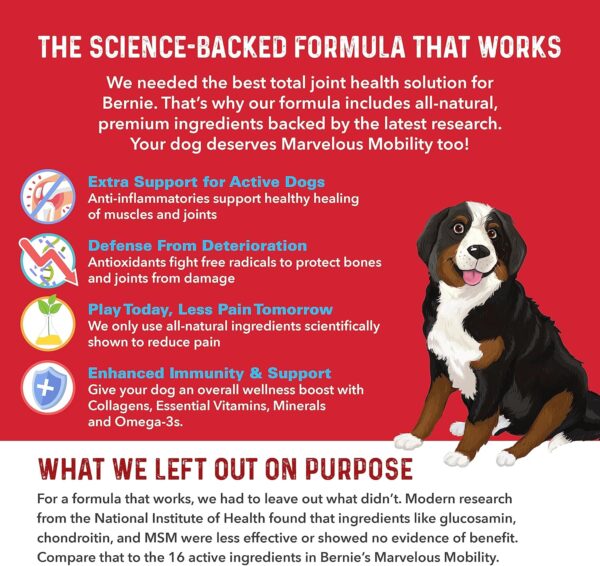 Bernie’s Marvelous Mobility - Daily Total Joint Support for Dogs - 90 Soft Chews - Maintain & Rebuild Mobility, Supports Joint Tissue Health - Image 4