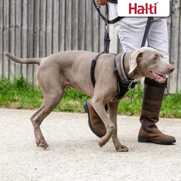 HALTI No Pull Harness - to Stop Your Dog Pulling on The Leash. Adjustable, Lightweight and Easy to Use. Reflective Dog Training Harness for Large Dogs (Size L),Black - Image 5