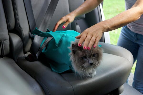 The Original AS SEEN ON TV. Comfy Soothing Cat Carrier - Image 5