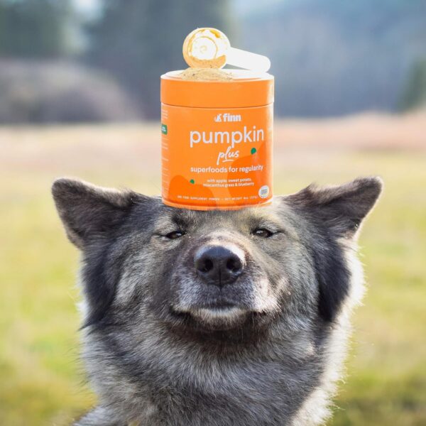 Finn Pumpkin Plus: Fast-Acting Digestive Relief for Loose Stool, Constipation, and Sensitive Stomachs | Superfood Meal Topper Powder for Dogs - Image 6