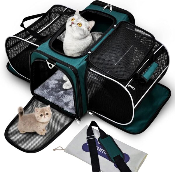 Cat Carrier, Pet Carrier Airline Approved, 2 Sides Expandable Dog Carrier, Soft-Sided Collapsible Dog Travel Bag with Removable Fleece Pad for Cats, Puppy and Small Animals (Green)