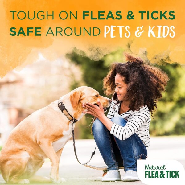 TropiClean Natural Flea and Tick Spray for Dogs & Bedding | Maximum Strength Flea Spray for Home | Family Friendly & Safe | Made in the USA | 16 oz. - Image 4