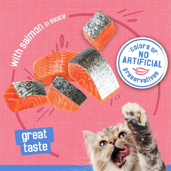 Purina Friskies Wet Cat Food,Shreds With Salmon in Sauce - (Pack of 24) 5.5 oz. Cans - Image 3