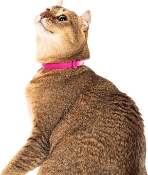 Comfortable, Soft and Light Cat Collar with Breakaway Snap Button (Raspberry Pink) - Image 3