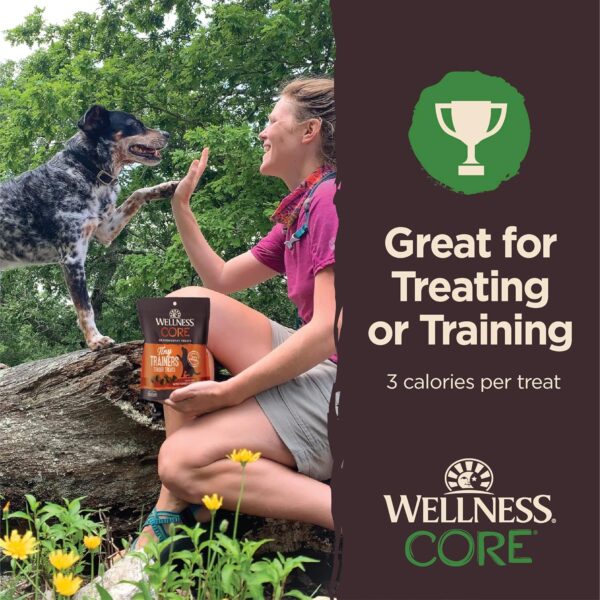 Wellness CORE Soft Tiny Trainers (Previously Petite Treats), Natural Grain-Free Dog Treats for Training, Made with Real Meat, No Artificial Flavors (Lamb & Apple, 6 Ounce Bag) - Image 4