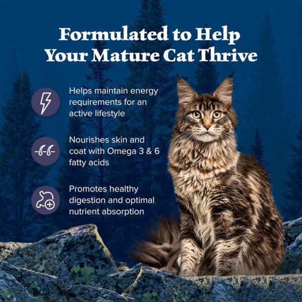 Blue Buffalo Wilderness Natural Mature Dry Cat Food for Cats 7+ Years, High-Protein and Grain-Free Diet, Supports Immune System Health and Energy to Stay Active, Chicken, 5-lb. Bag - Image 4