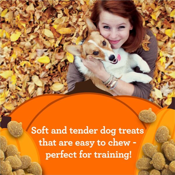 Zukes Mini Naturals Pumpkins Dog Training Treats Turkey and Pumpkin Recipe, Soft Dog Treats - Image 2