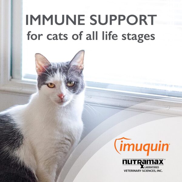 Nutramax Imuquin Immune Health Supplement Powder for Cats, with Beta Glucans, Marine Lipids, Vitamins and Minerals, 30 Packets - Image 3