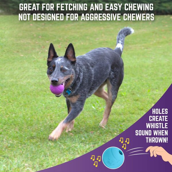 Chew King Fetch Balls Extremely Durable Natural Rubber Toy 3 inch Balls - Pack of 3 (CM-0263-CS01) - Image 4