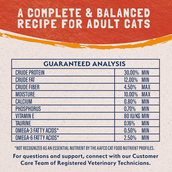 Natural Balance Limited Ingredient Adult Grain-Free Dry Cat Food, Reserve Duck & Green Pea Recipe, 10 Pound (Pack of 1) - Image 5