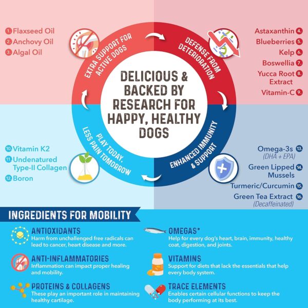 Bernie’s Marvelous Mobility - Daily Total Joint Support for Dogs - 90 Soft Chews - Maintain & Rebuild Mobility, Supports Joint Tissue Health - Image 6