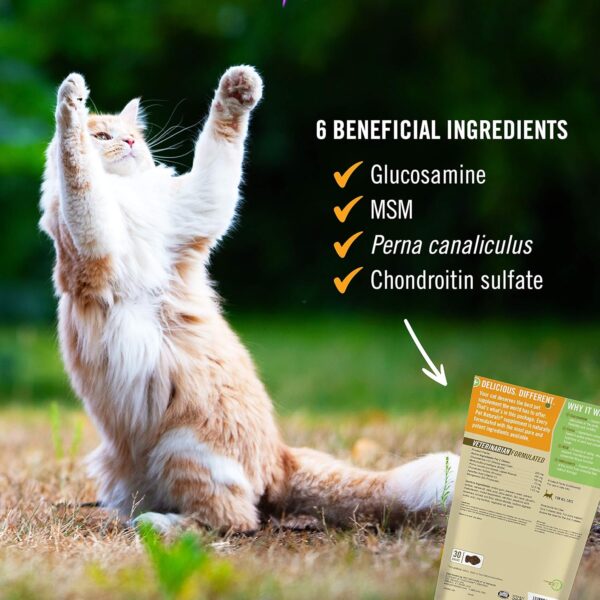 Pet Naturals Hip and Joint Support Supplement for Cats, 30 Chews - Glucosamine, Chondroitin and MSM for Cats - Image 4