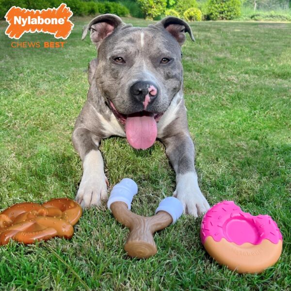 Nylabone Power & Strong Chew Dog Chew Toy Pack Bundle - Fun & Cute Dog Toys for Aggressive Chewers - Durable Dog Toys - Donut, Marshmallow Stick, and Pretzel Shapes, Giant/Large (3 Count) - Image 2