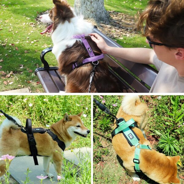 Patas Lague No Pull Dog Harness for Large Dogs, Soft Adjustable Step in No Choke Dog Harness and Leash Set, Reflective Solid Dog Vest Harness with Buckle Lock, Purple XL - Image 2