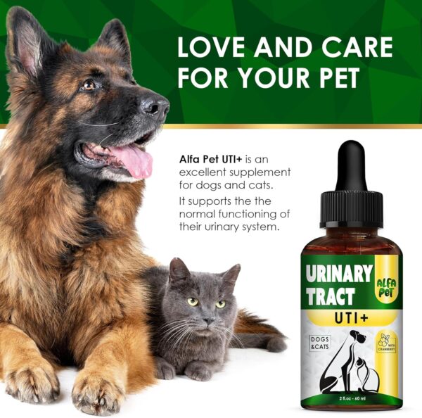 Dog Urinary Tract Infection Treatment • Cat Treatment for UTI • Kidney Support for Dogs • Dog UTI Treatment • Feline UTI Treatment • Dog Kidney Support • Kidney Support for Cats - Image 8