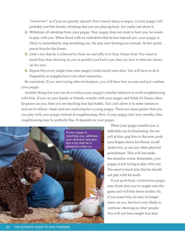 Ultimate Guide to Dog Training: Puppy Training to Advanced Techniques Plus 25 Problem Behaviors Solved! (CompanionHouse Books) Manners, House-training, Tricks, and More, with Positive Reinforcement - Image 10