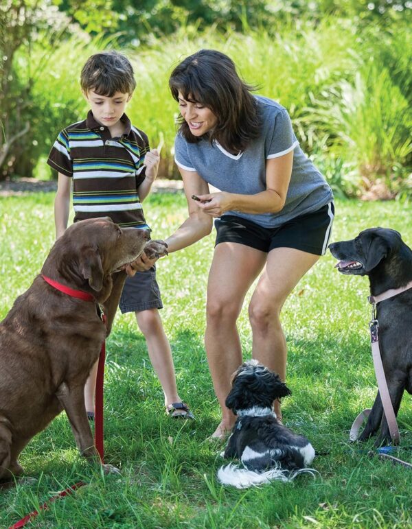 Ultimate Guide to Dog Training: Puppy Training to Advanced Techniques Plus 25 Problem Behaviors Solved! (CompanionHouse Books) Manners, House-training, Tricks, and More, with Positive Reinforcement - Image 3