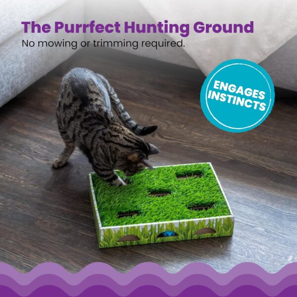 Catstages Grass Patch Hunting Box Cat Toy - Image 3