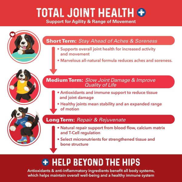 Bernie’s Marvelous Mobility - Daily Total Joint Support for Dogs - 90 Soft Chews - Maintain & Rebuild Mobility, Supports Joint Tissue Health - Image 3