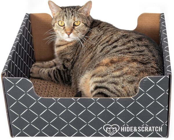 Hide & Scratch Extra-Large Heavy Duty Cardboard Cat Scratcher Box and Cat Bed with Refillable Scratch Pad